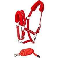 Cwell Equine New Caballo con estampado de caballo- cabestro y correa a juego- color rojo